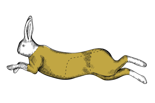 Tuszka królika surowa