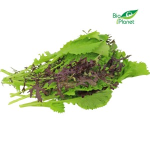 MUSZTARDOWIEC ŚWIEŻY NIEMYTY BIO (POLSKA) (około 0,10 kg)