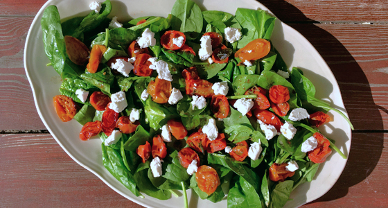 Sałatka z kozim serem_Spiżarnia Rydzyńska_Fot. Daria Wójcicka